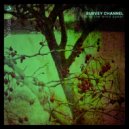 Survey Channel - Denebula
