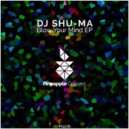 DJ Shu-Ma - Blow Your Mind