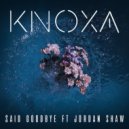 Knoxa feat. Jordan Shaw - Said Goodbye