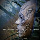 ecoMix - Melodic House & Techno Vol.16
