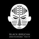 Black Brejcha - Electrominds