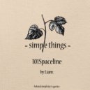 Liam. - Timeship