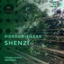 Pierre Pienaar - Shenzi
