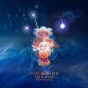 Reblooming - Unidentified Object