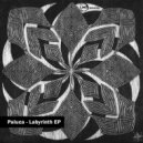 Paluca & KODAMA - Labyrinth