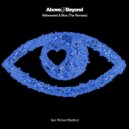 Above & Beyond ft Richard Bedford - Bittersweet & Blue