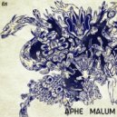 APHE - Modicum