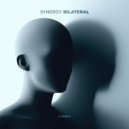 Synergy - Vortex