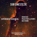 Sub Sinestezie - Gravedad