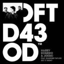 Harry Romero & Joeski feat. Shawnee Taylor - Get It Right