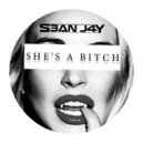Missy Elliott - Shes A Bitch