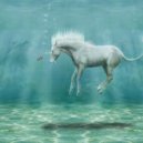 Johan Horses - Stallion (Original Mix)