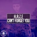 H.A.Z.E - Can't Forget You