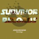 John Browne - A Light Sensation