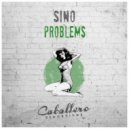SINO - Problems (Compromise)