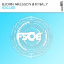 Bjorn Akesson & Rinaly - Icicles