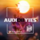 AudioBytes - Summer Nights