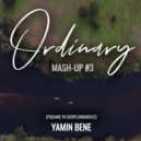 Yamin Bene - Ordinary Mash-up #3