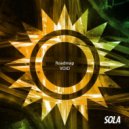 Roadmap - Void