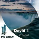 David I - Waterfall