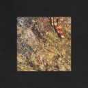 Dandara - Tense Movement