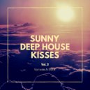 Frank Riviera - D Love (Majestic Mix)