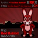 The Red Rabbit - Are You Ready?