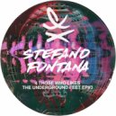 Stefano Fontana - House Freak