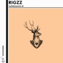 Rigzz - Get Lost