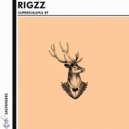 Rigzz - Lookback (Original Mix)