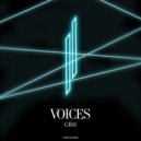 CJDJ - Voices