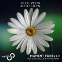 Oleg Velin & AlexZideyn - Moment Forever (Carl Crellin & Mark S Remix)