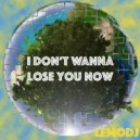 LemoDj - I Don't Wanna Lose You Now