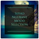 Sipho Ngubane - Mood Selection