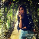 Akrosonix - Our Life