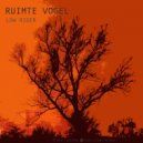 Ruimte Vogel - Low Rider (Original Mix)