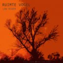 Ruimte Vogel - Low Rider