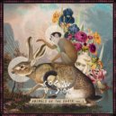 Hajna - Night of The Platypus