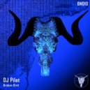 DJ Pilot - My House