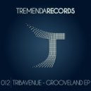 Tribavenue - Grooveland