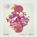 AMPRS&ND - Experience B17 (Casmalia Remix)