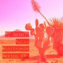 Minitronik, Matke, DJ Spin - Mexico
