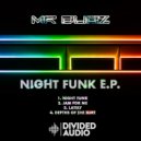 Mr Dubz - Night Funk