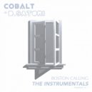 Cobalt & Danny Satori - Boston Calling