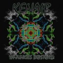 Kenáib - Ya Junkies Bastard (Original Mix)