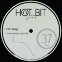 FDF (Italy) - Your Everything (Original Mix)
