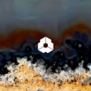 Unclear - Muscari