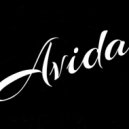 Dj Avida - Promo StandUp mixtape Vol 2 ()
