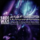 Jay Funk Feat Tommie Cotton - Wormhole (Danny Clark EN Masse Remix)