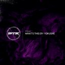 Yokushe - What\'s This (Original Mix)